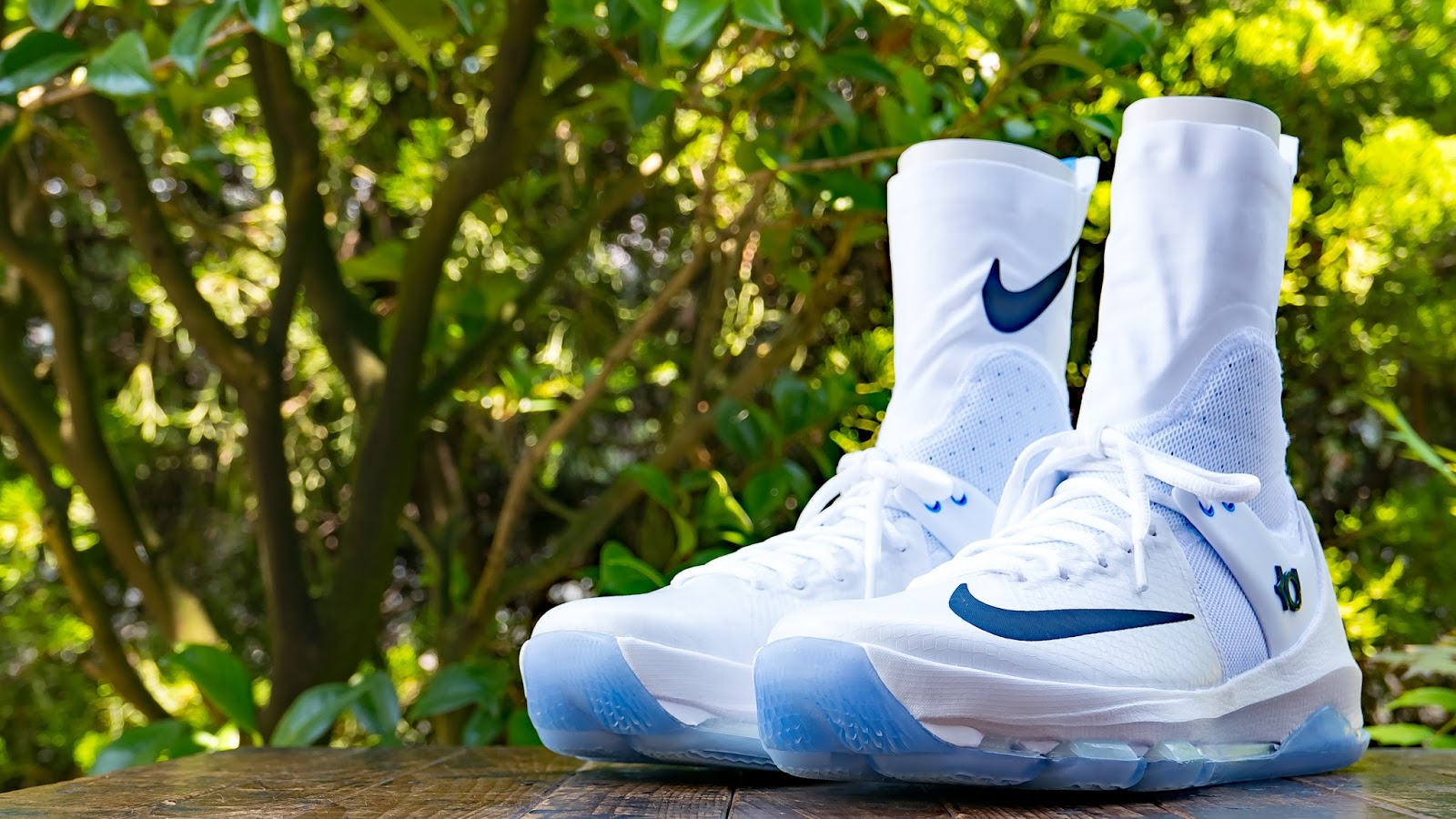 Kd 8 sales knee high